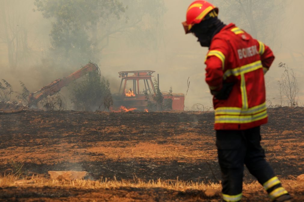 Fogo de Monchique já destruiu mais de 21.300 hectares