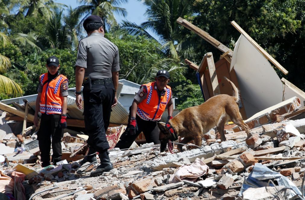 Novo balanço aponta para 164 mortos após sismo na Indonésia