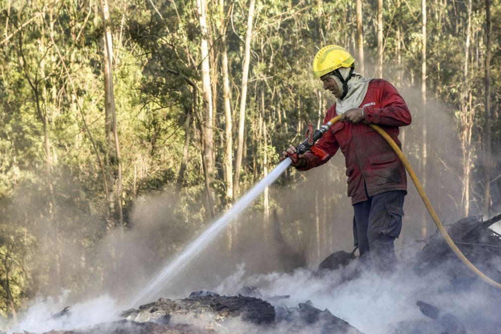 Viana do Castelo: Jovem apanhado a atear fogo numa floresta
