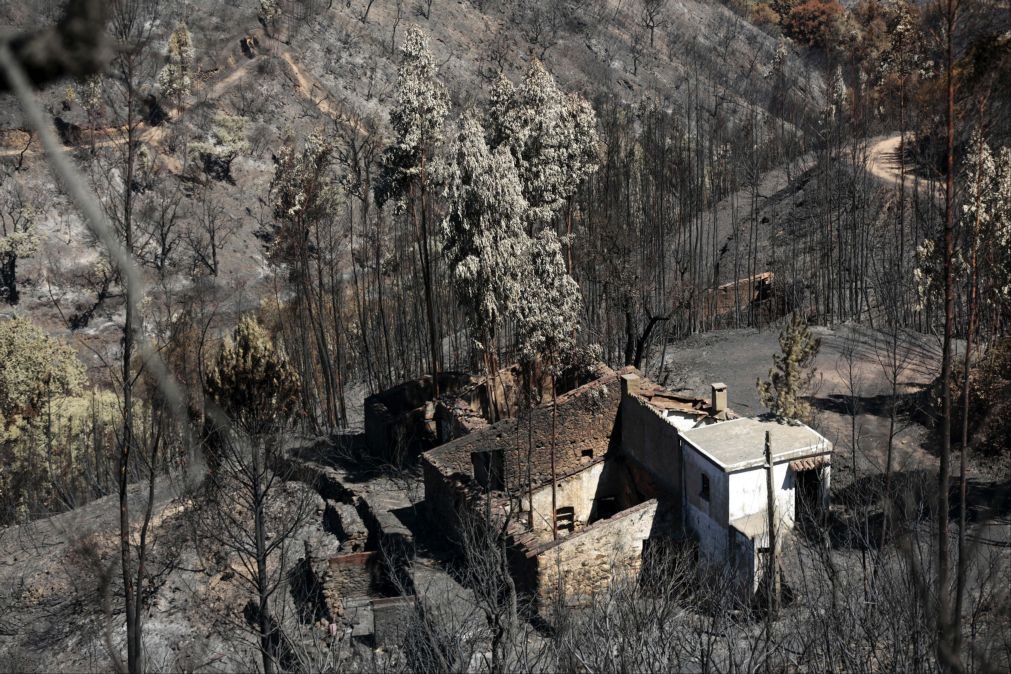 Chamas queimaram quase 28 mil hectares no Algarve