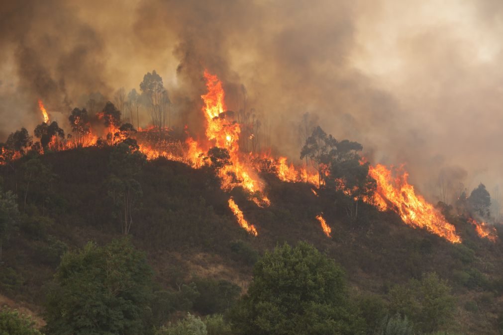 Sete distritos do norte em alerta vermelho a partir da meia noite