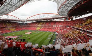 Estudante português resolve problemas de estádio de futebol (e ganha concurso mundial)