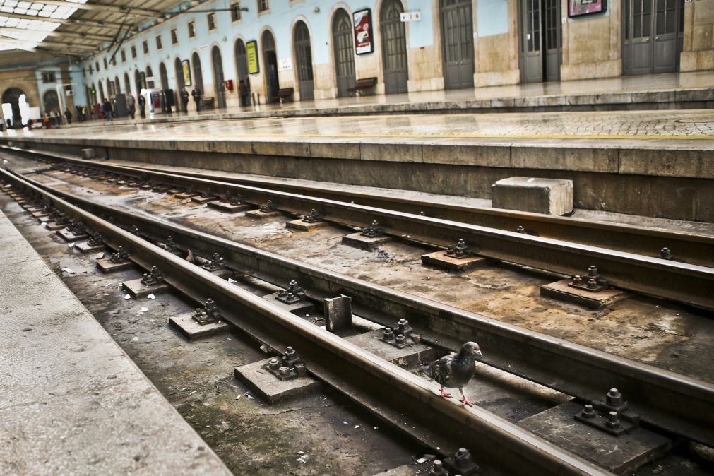 ALERTA | Duas jovens de 19 anos ficam feridas a tirar fotos junto à linha do comboio