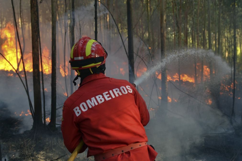 Queimadas entre as principais causas dos fogos