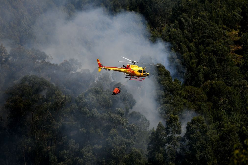 Vários concelhos e distritos do continente em risco máximo de incêndio