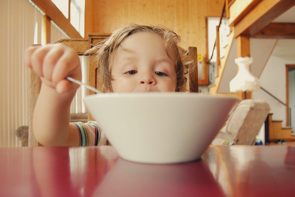 Alerta | Cereais de pequeno-almoço para crianças com glifosato