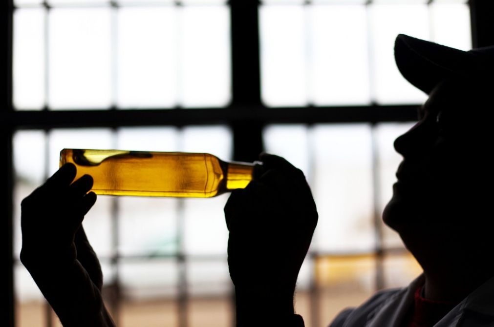 ASAE apreende garrafas de azeite «Virgem Extra» misturado com azeite refinado
