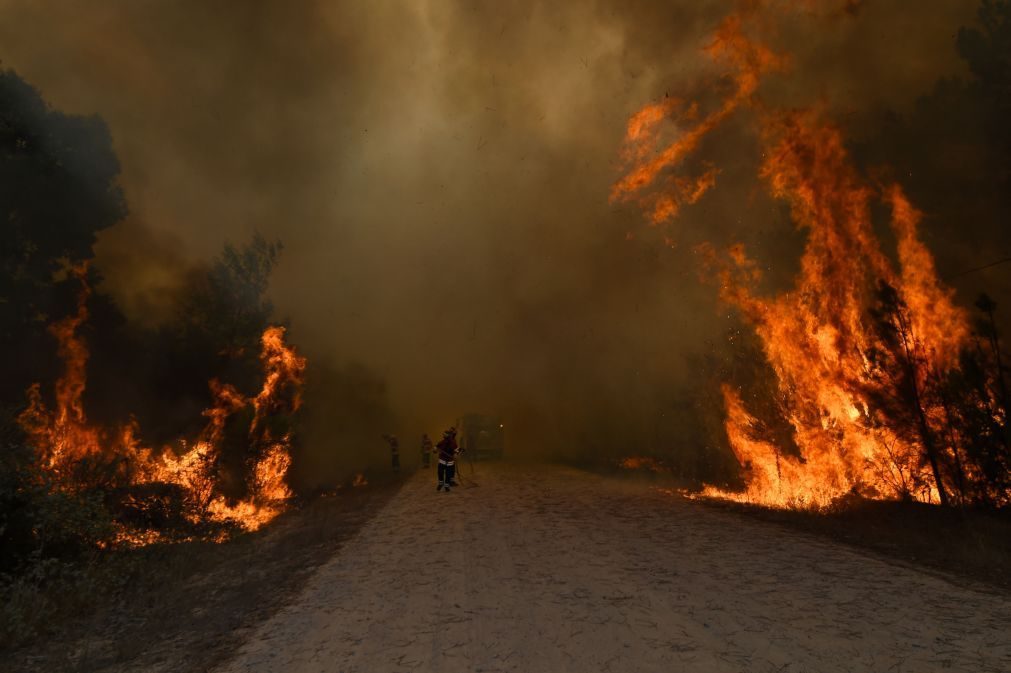 Risco máximo de incêndio em 85 concelhos de 12 distritos