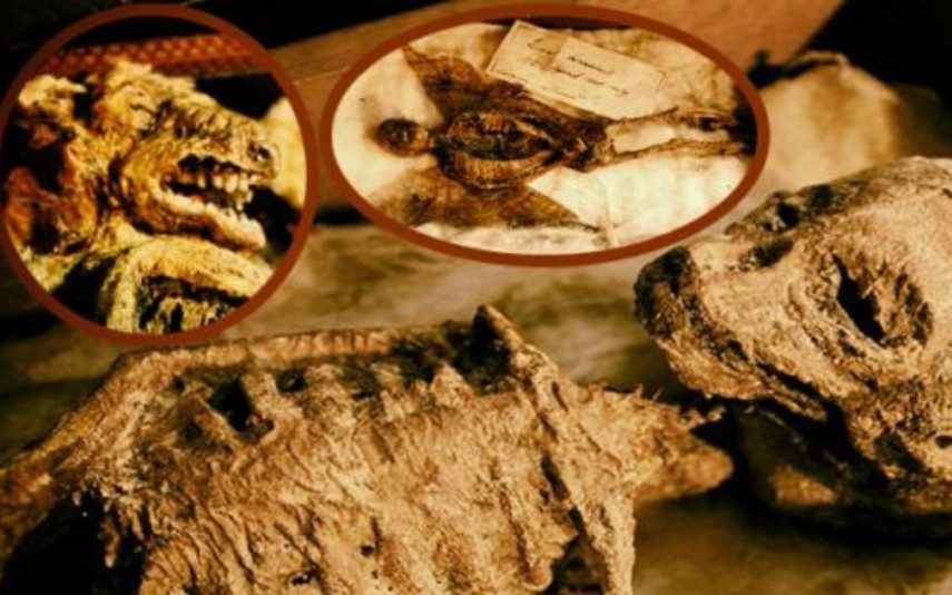 Reino Unido Corpos de criaturas míticas encontradas em cave