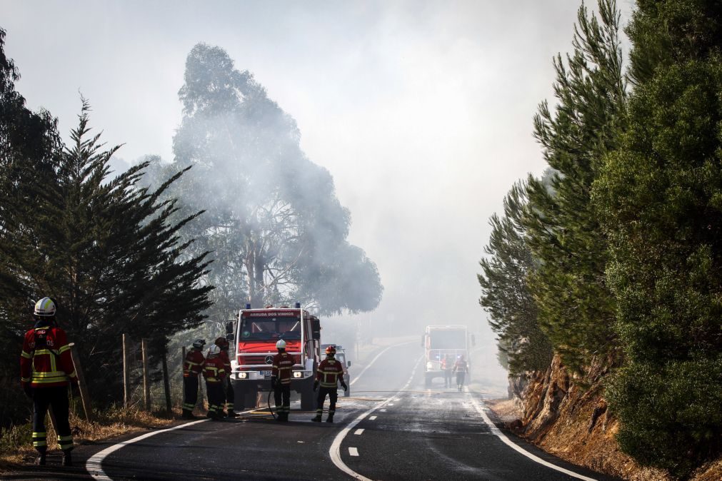 Incêndios: «Área ardida no incêndio de Sintra não é muito significativa»