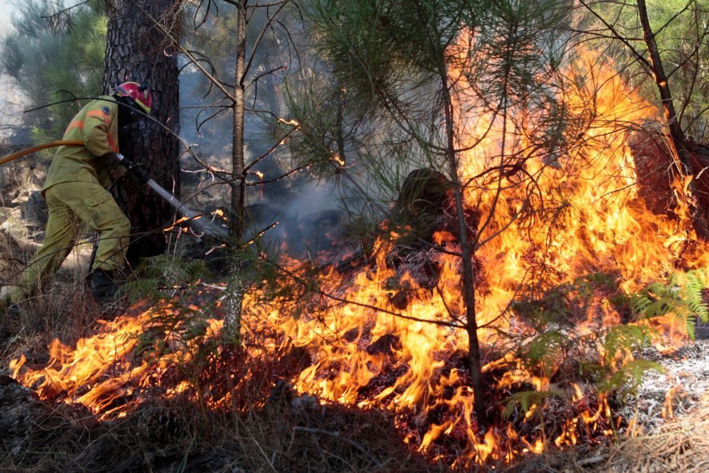 ALERTA | Três concelhos de Portugal continental com risco elevado de incêndio