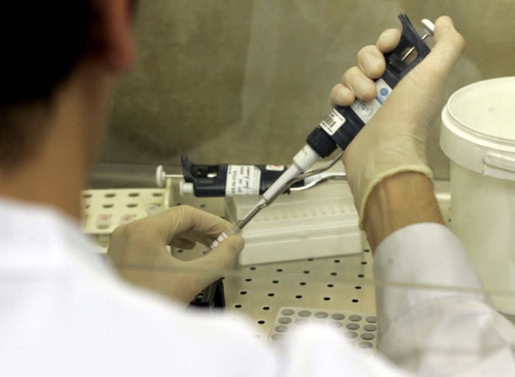 Cientistas desenvolvem vírus que destrói células cancerígenas