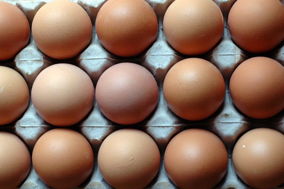 França tem ovos contaminados com fipronil no mercado desde abril