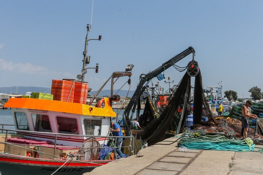 Bruxelas quer baixar capturas de pescada e proibir pesca do bacalhau em águas nacionais