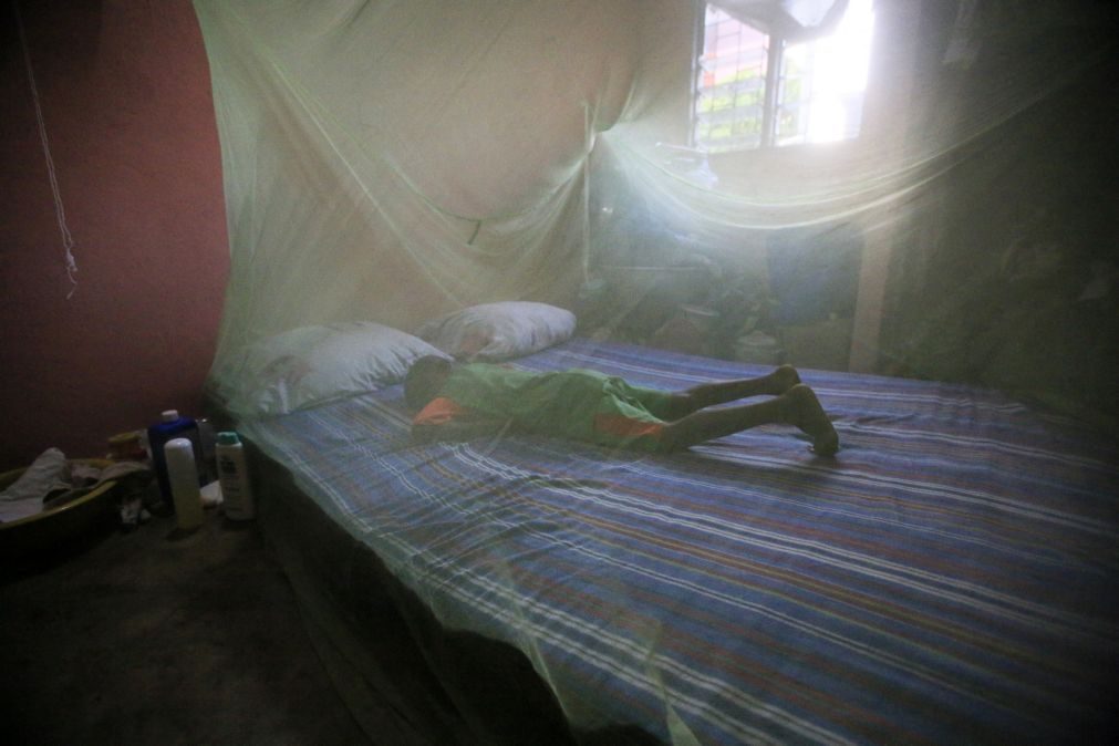 Moçambique com a terceira maior percentagem de casos de malária no mundo