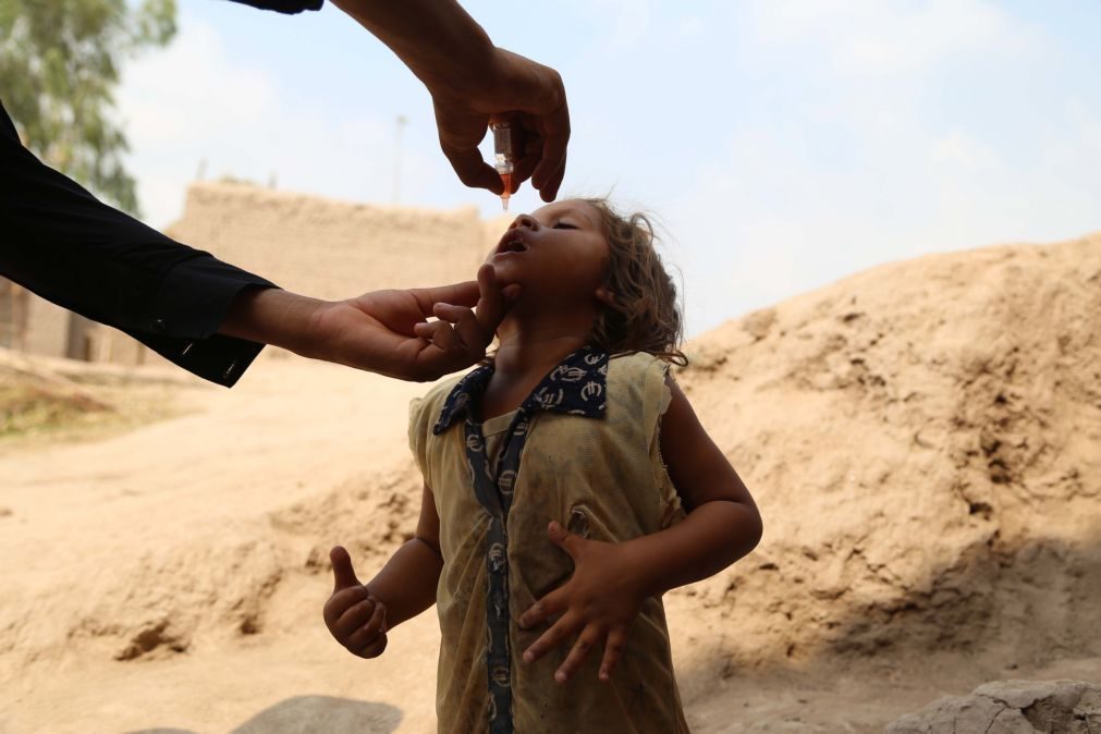 Cientistas criam vacina contra poliomielite que não precisa de refrigeração