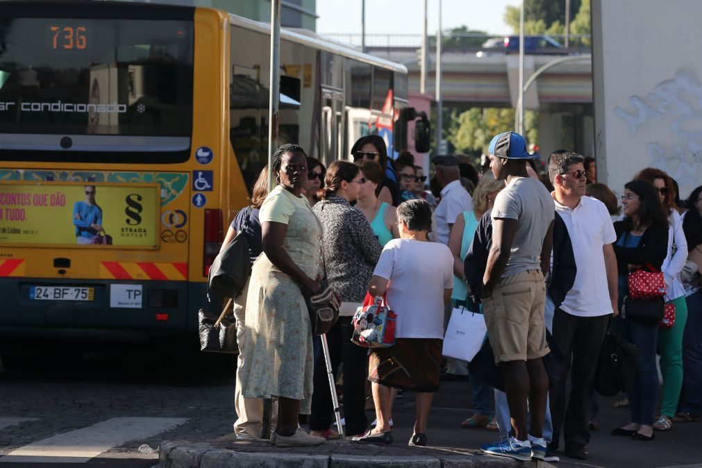 Aprovado aumento de 21 milhões de euros para redução do preço dos passes sociais