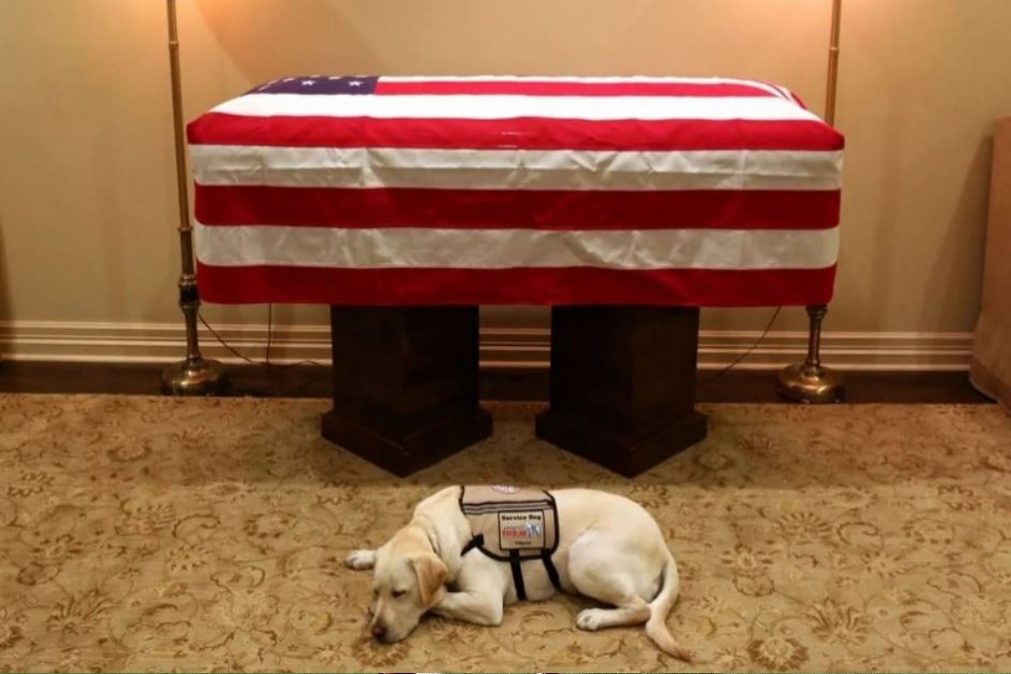 Cão de George H. W. Bush presta uma última homenagem junto ao caixão