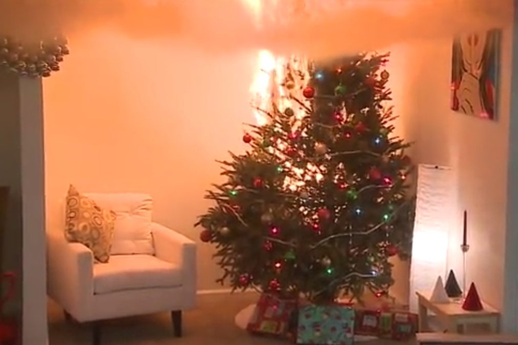 Os perigos do Natal. Este vídeo mostra como uma árvore se incendeia em segundos