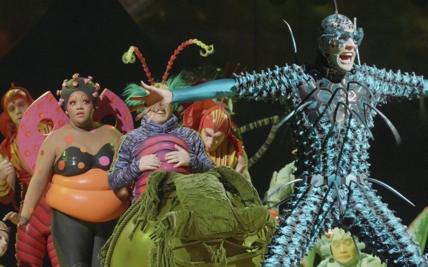 Backstage Cirque du Soleil - OVO | O outro lado do Cirque du Soleil (vídeo)