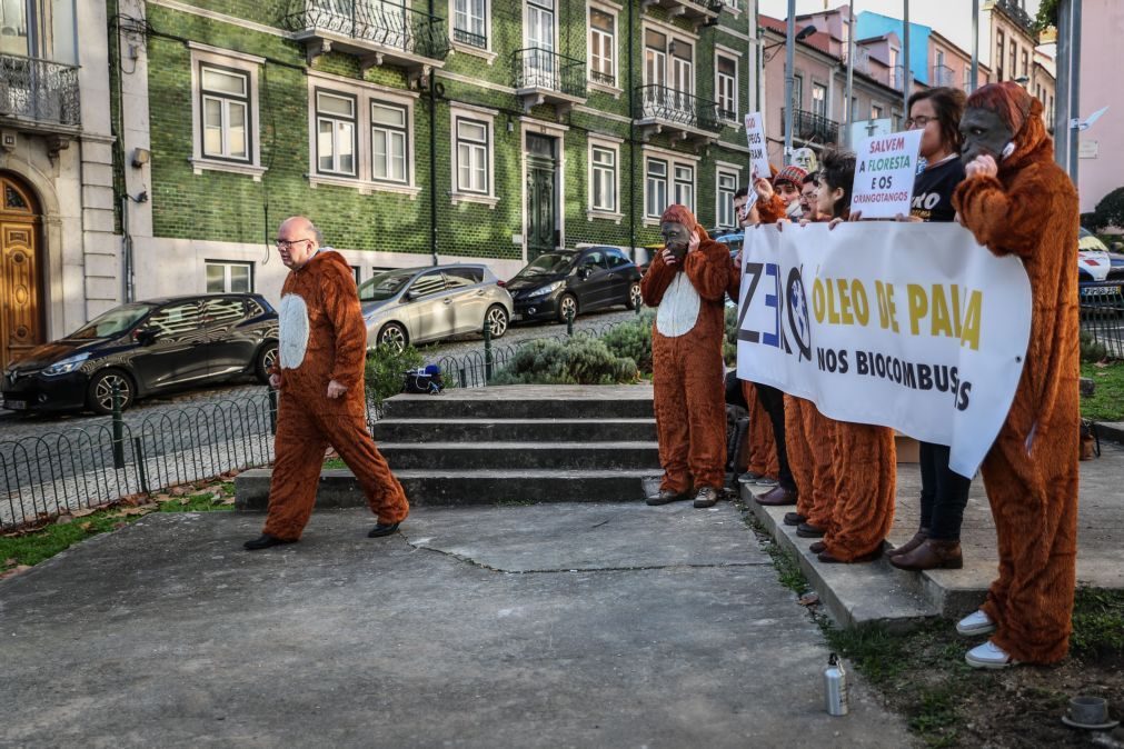 Zero pede ao governo que legisle para impedir uso de óleo de palma no gasóleo