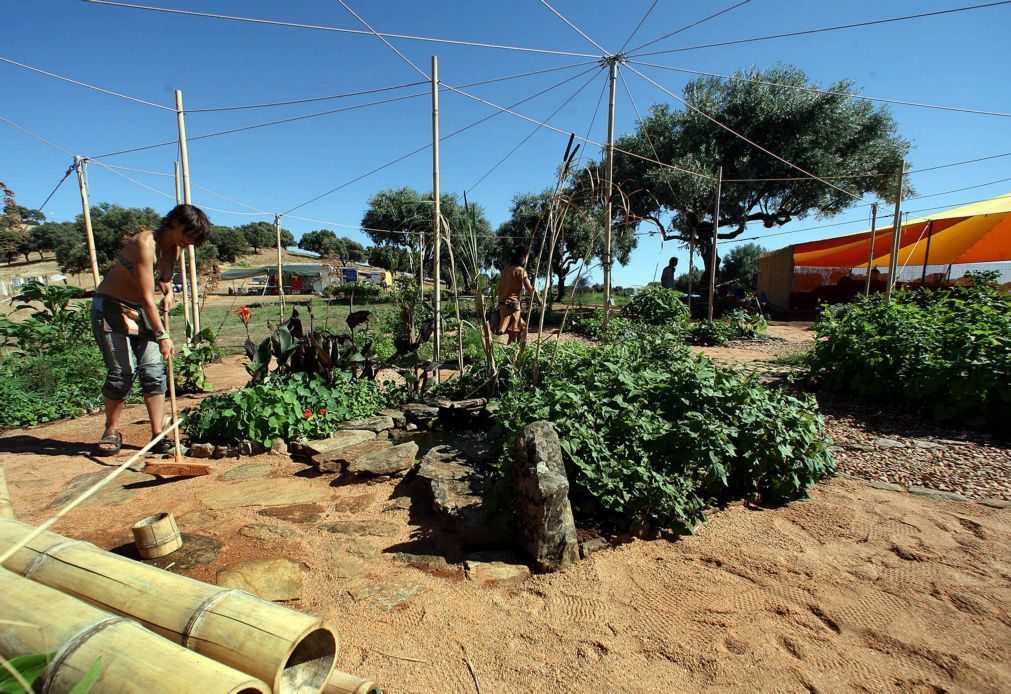 Boom Festival de Idanha-a-Nova distinguido com prémio de sustentabilidade