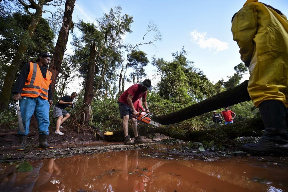 Barragem em Brumadinho contaminou pelo menos 305 quilómetros de rio