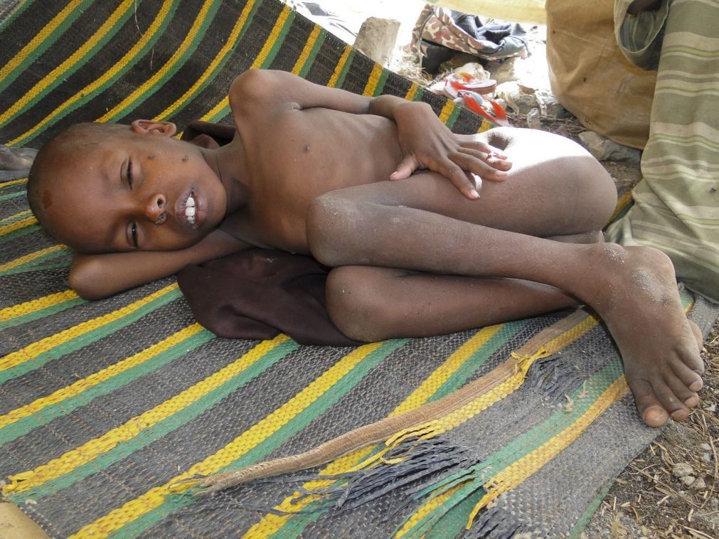 Cerca de 420 milhões de crianças vivem em zonas de conflito