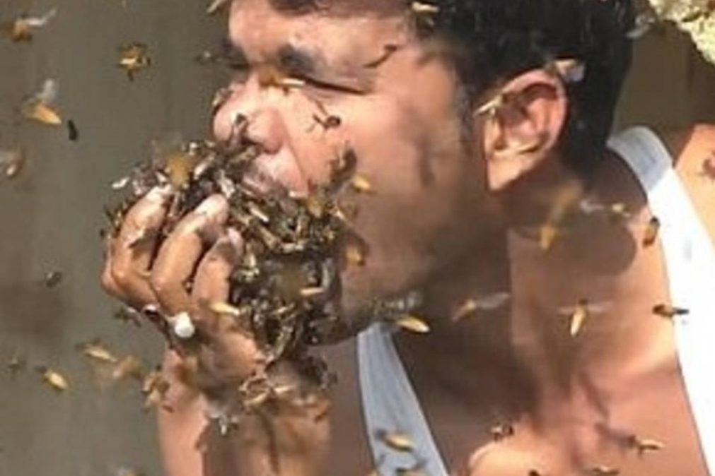 Aposta leva homem a colocar centenas de abelhas na boca [vídeo]