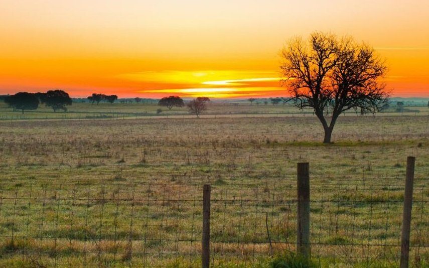 Alentejo Está entre os melhores destinos rurais para conhecer na primavera