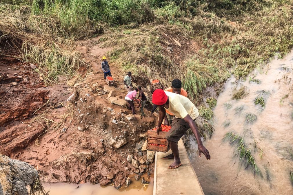 Fundação de Mia Couto abre contas para donativos de ajuda a Moçambique