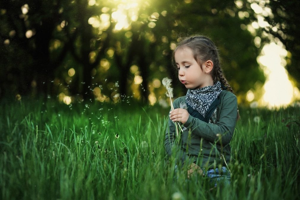 Sábado será de primavera com sol e temperaturas acima da média