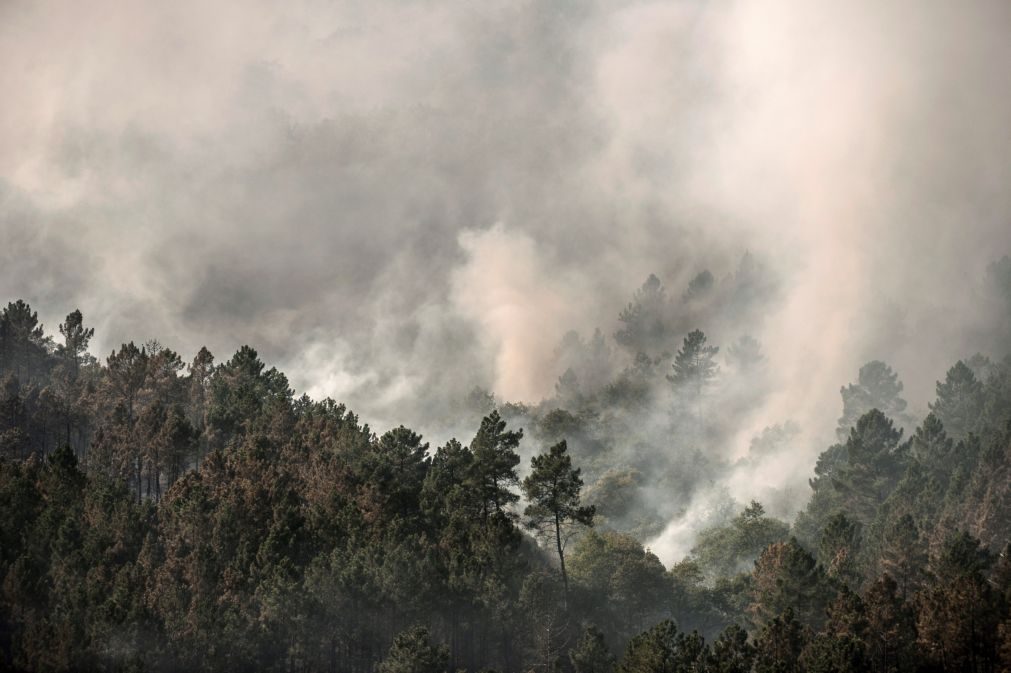 Incêndio lavra no parque natural galego de Xurés e já queimou 40 hectares
