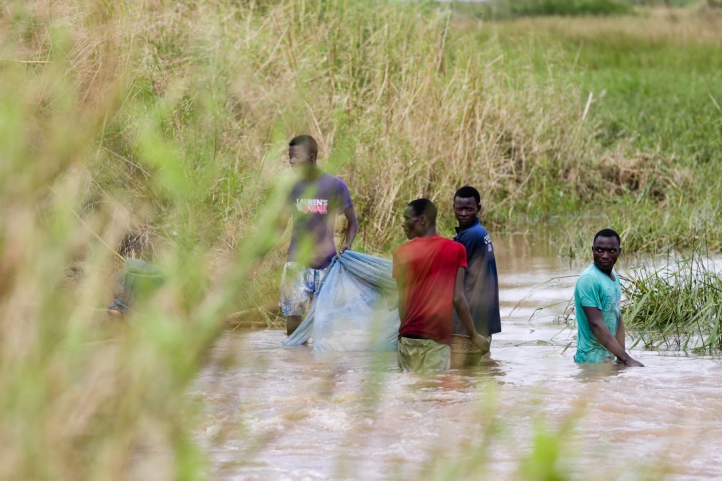 População afetada em Moçambique sobe para 794.000
