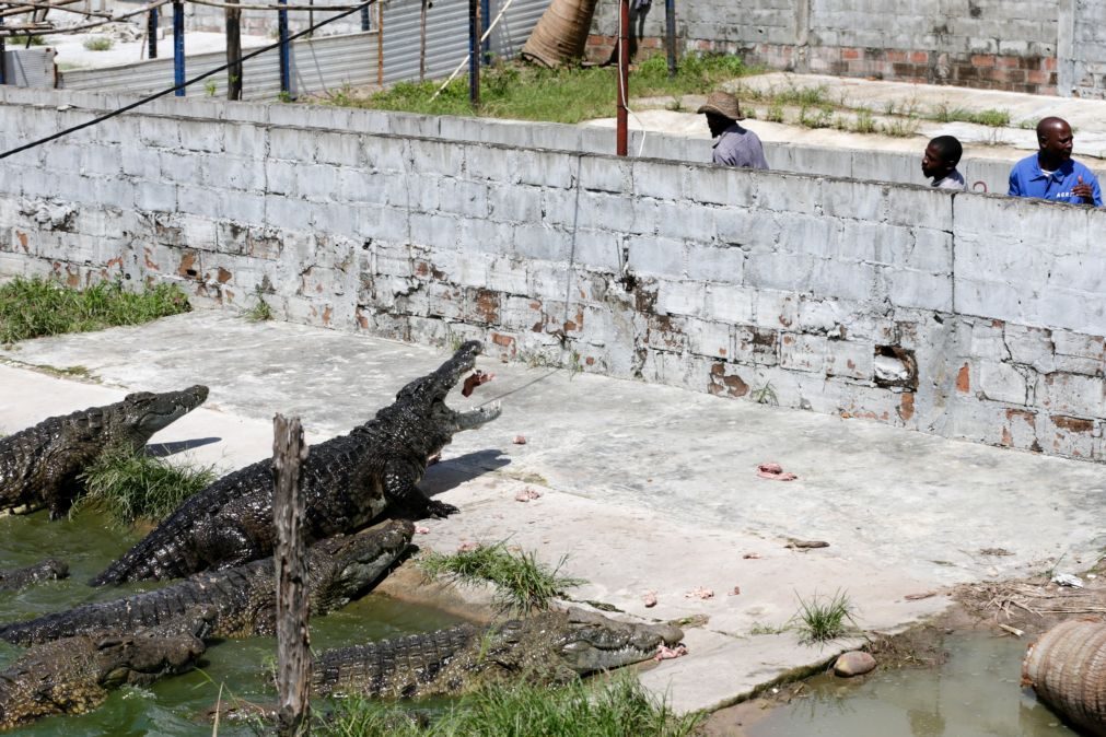 Menina de 2 anos comida viva por crocodilos enquanto mãe cuidava do irmão recém-nascido
