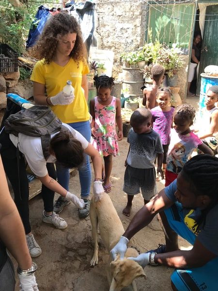 Três estudantes portuguesas de veterinária contam como é fazer voluntariado em Cabo Verde