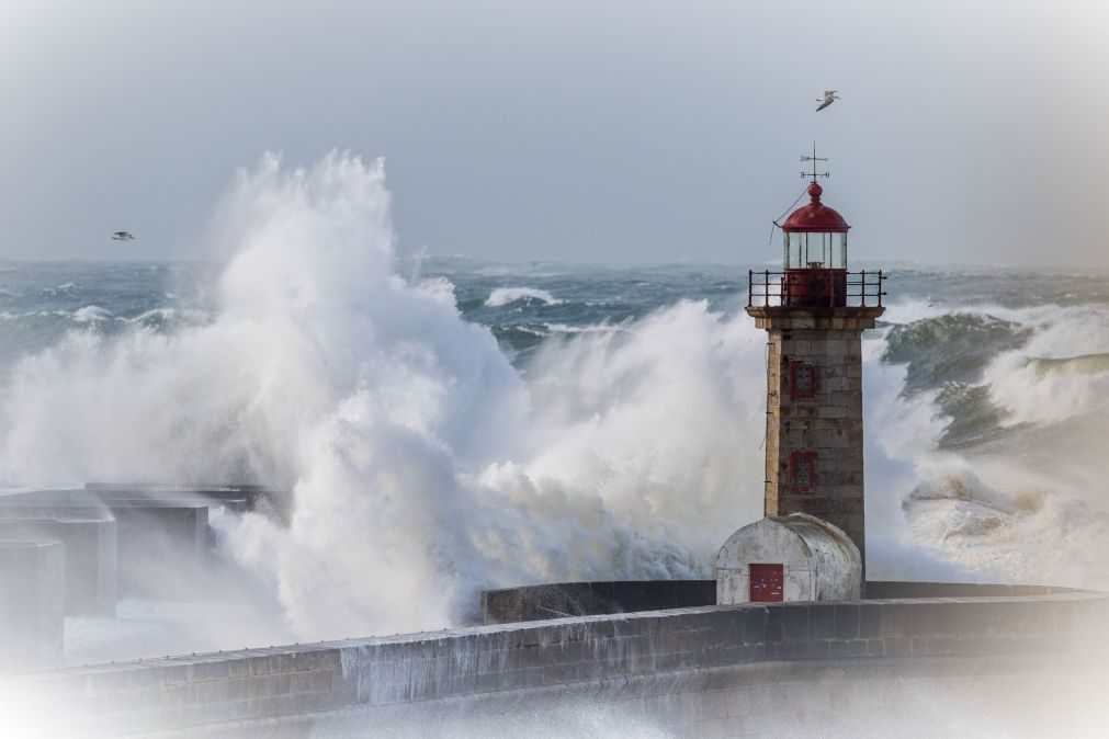 Alerta | Agravamento do vento e agitação marítima no norte do país