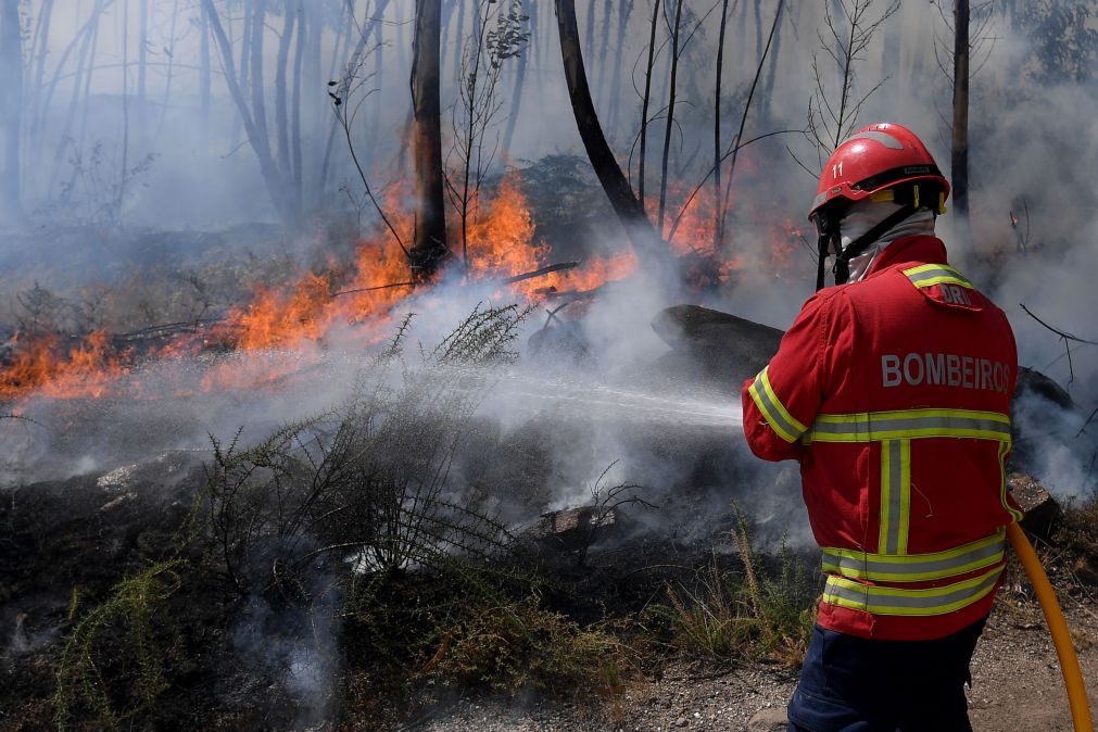 ALERTA | Governo proíbe queimadas até terça-feira