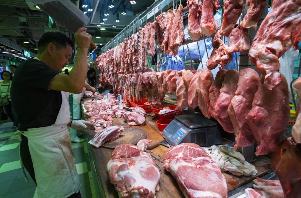 Surto de peste suína chega a Hong Kong, autoridades vão abater 6.000 porcos