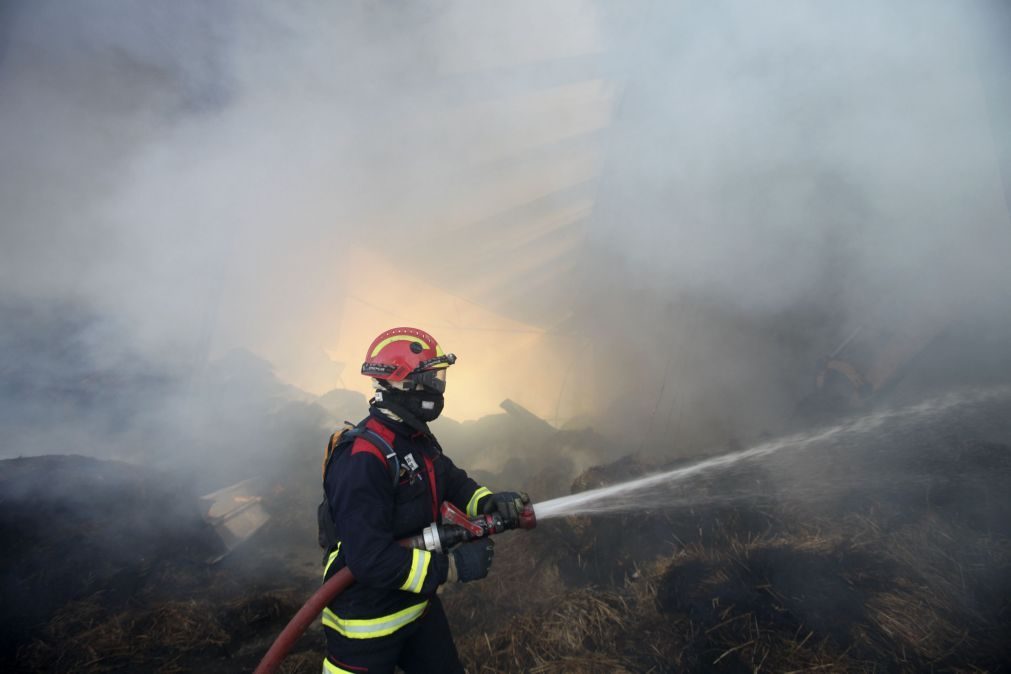 Lisboa. Incêndio consome zona de mato junto a casas na Penha de França