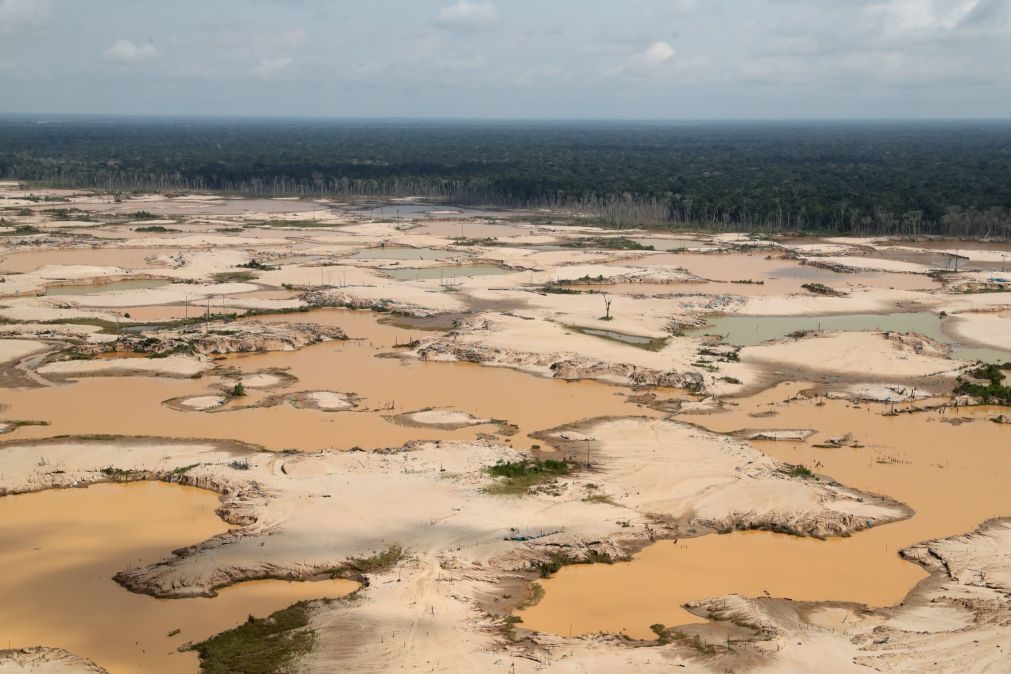 Áreas protegidas na Amazónia perderam 9,5 mil quilómetros em 30 anos