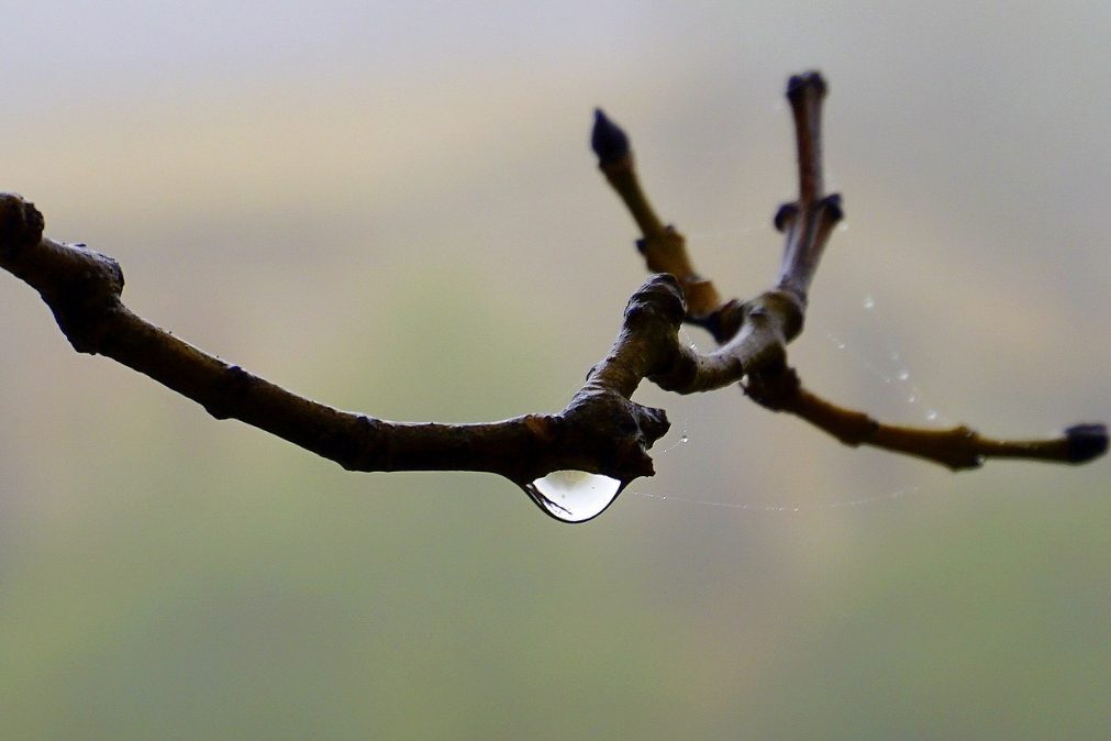 Previsão do tempo. Semana começa com descida acentuada da temperatura e chuva