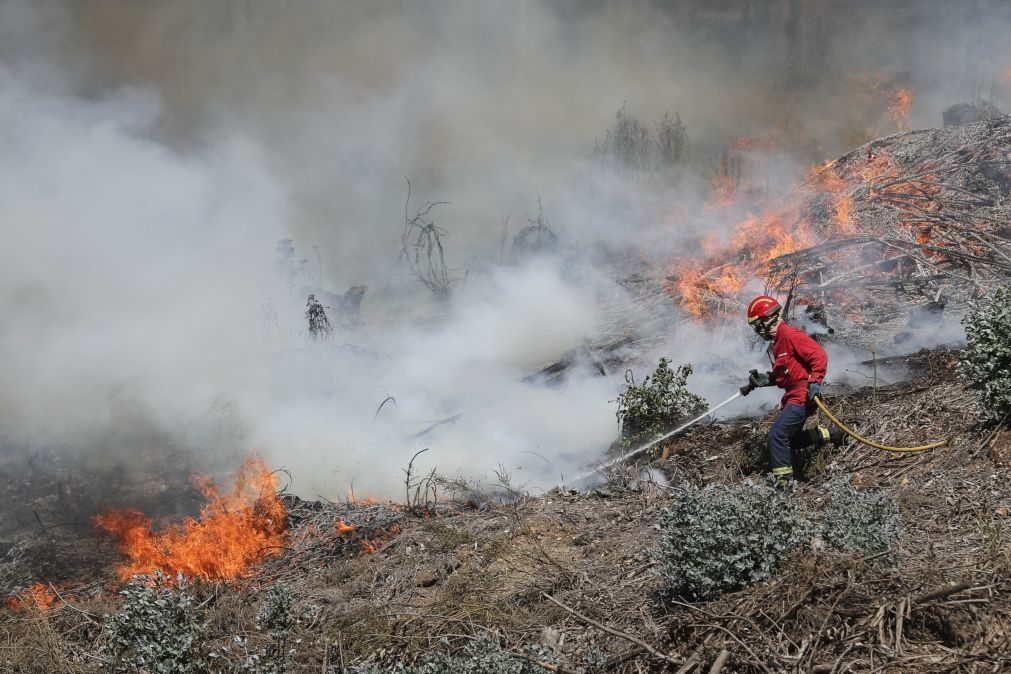 Incêndio | Catorze concelhos do continente e um na Madeira em risco máximo