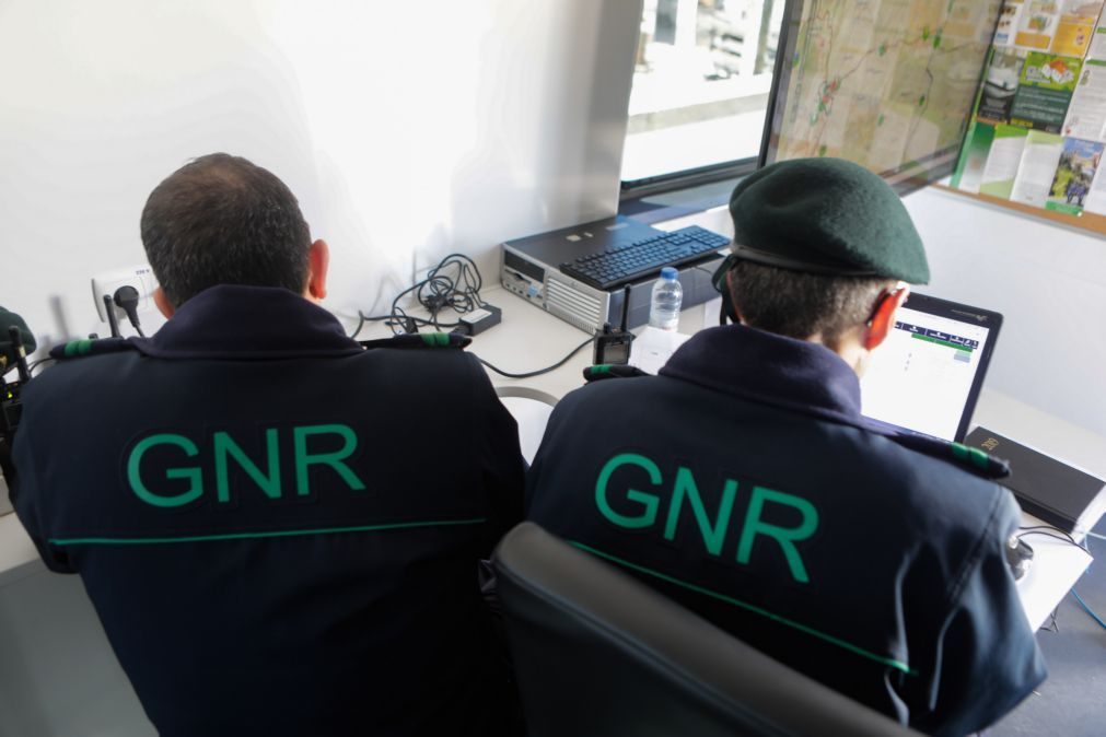 GNR desmantelou rede de tráfico de droga em Aveiro e Porto