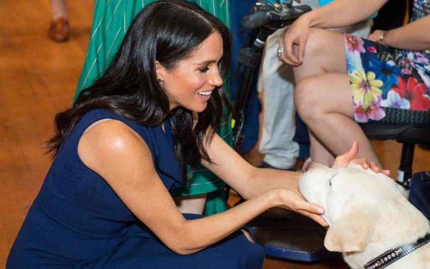 Meghan Markle escreve carta emotiva e apela à adoção de animais