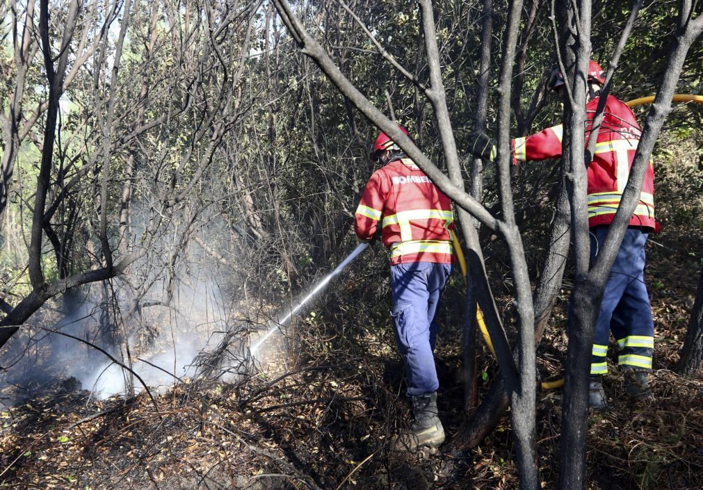 Vários concelhos em risco máximo de incêndio