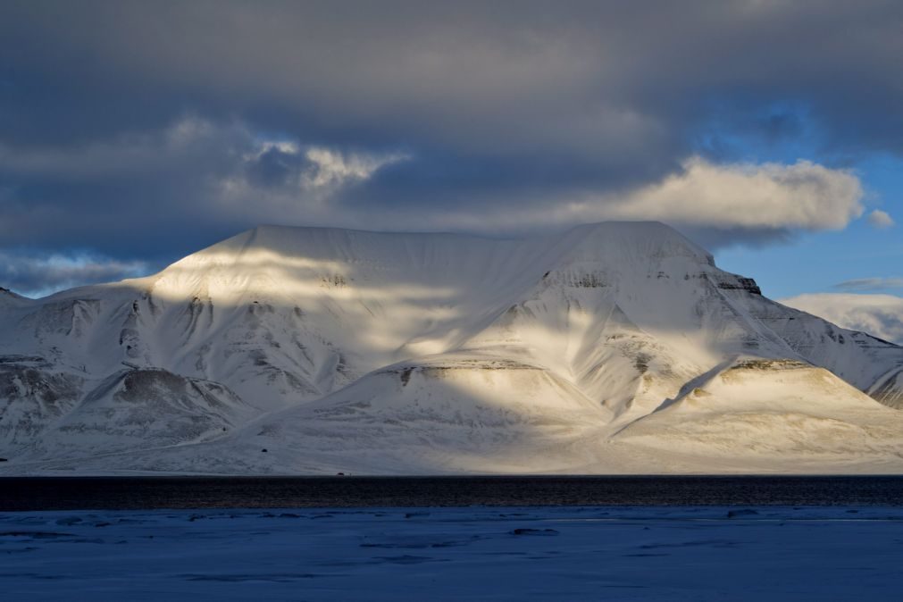 Raposa do ártico atravessou 3.500 quilómetros entre a Noruega e o Canadá em 76 dias