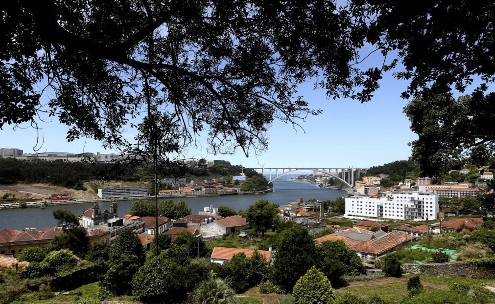 Porto quer suspender por 6 meses novos alojamentos locais em algumas zonas
