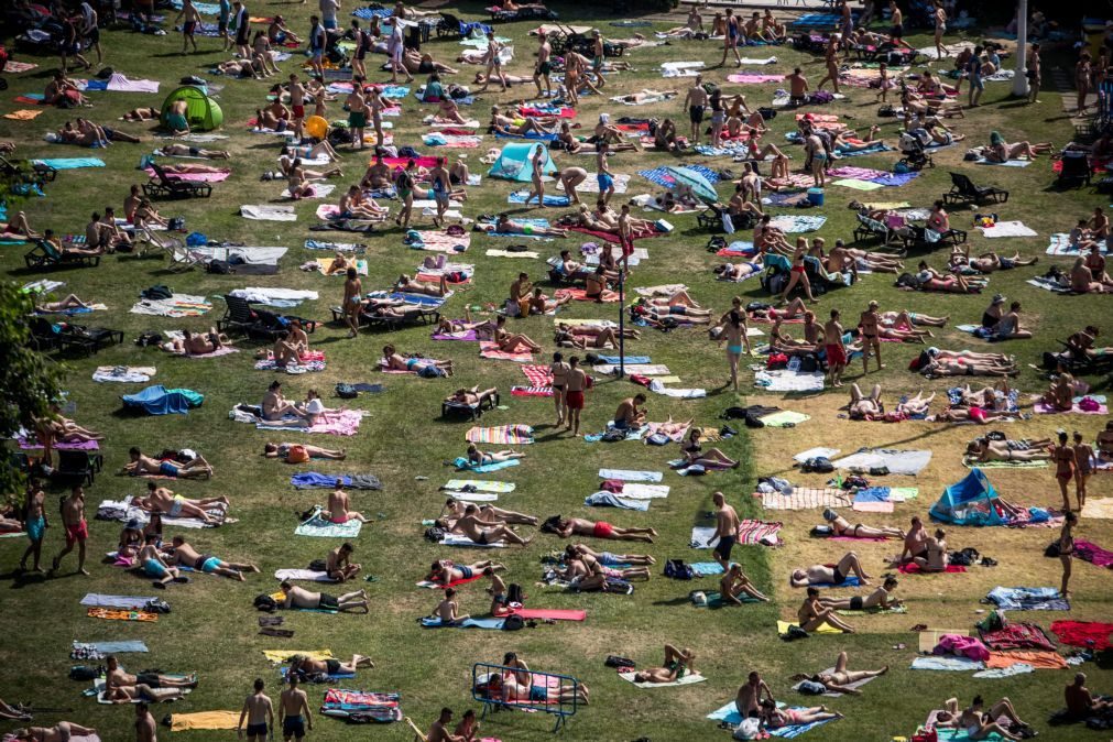 Onda de calor na Europa provoca infestação de lagartas do pinheiro