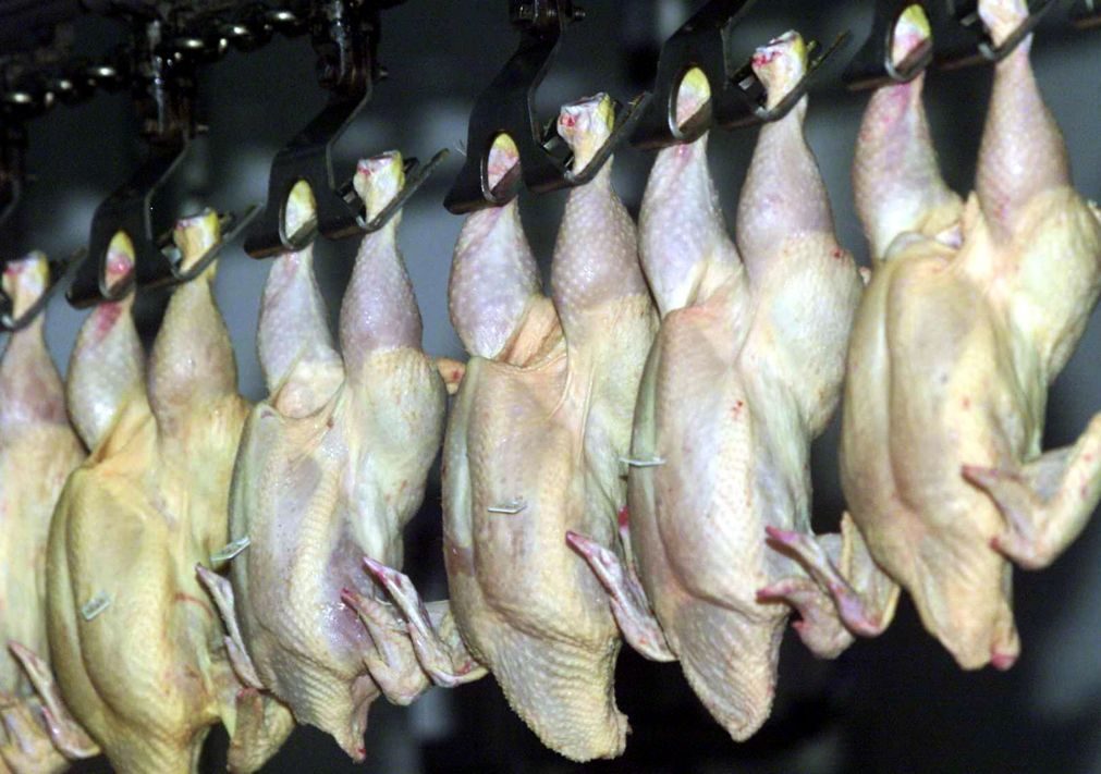 UE anuncia que rejeitará parte da carne brasileira que está a caminho da Europa